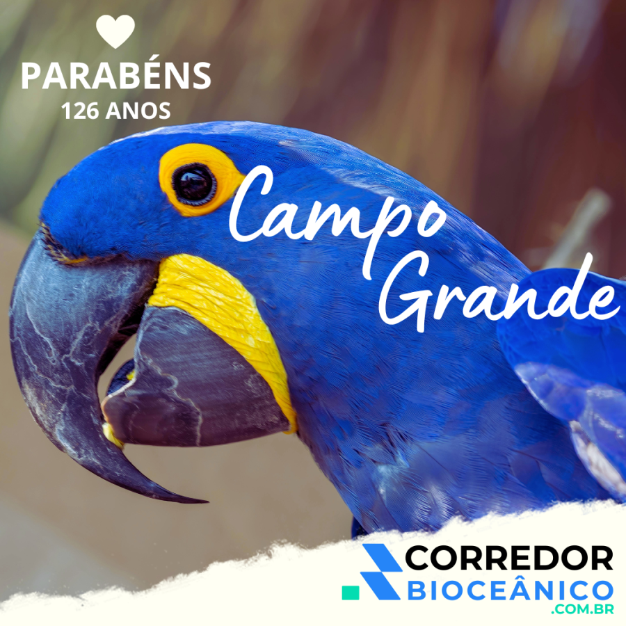 Parabéns Campo Grande - 126 anos!!!