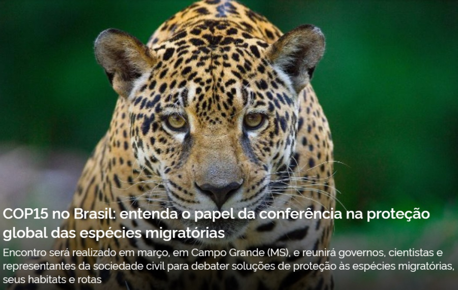 COP15 no Brasil: Proteção Global das Espécies Migratórias